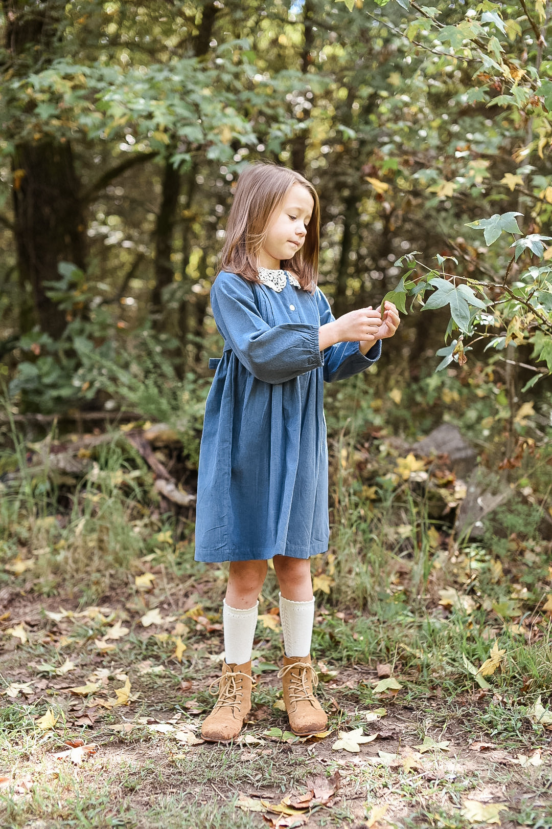 Cord Lace Collared Dress (blue)